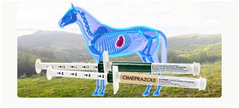 horseprerace omeprazole|Omeprazole for Horses with Ulcers: The Good & Bad .